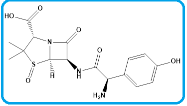 AMOXICILLIN SULFOXIDE 